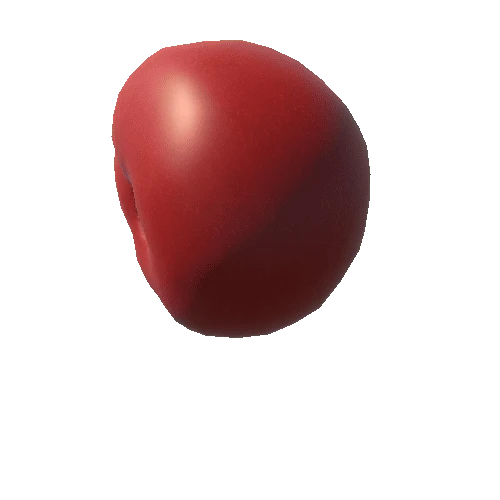 tomato4 (1)1